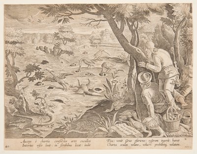 Caccia alla gru con coni, tavola 28 nella serie Venationes Ferarum, Avium, Piscium da Jan van der Straet, called Stradanus