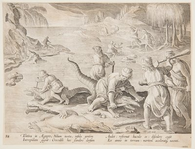 Caccia al coccodrillo a Tentyra, in Egitto, tavola 30 dalla serie Venationes Ferarum, Avium, Piscium da Jan van der Straet, called Stradanus