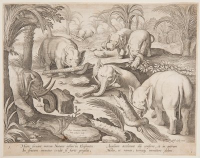 Elefanti che si aiutano a uscire da una trappola, tavola 1 dalla serie Venationes Ferarum, Avium, Piscium da Jan van der Straet, called Stradanus