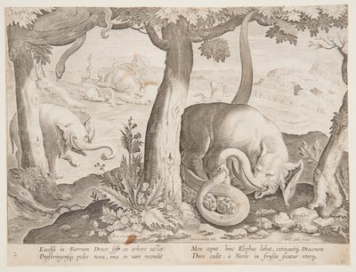 Combattimento tra elefanti e serpenti, tavola 2 dalla serie Venationes Ferarum, Avium, Piscium da Jan van der Straet, called Stradanus