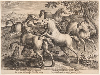 Cavalli combattenti, dal quarto set di "Equile Joannis Austriaci" da Jan van der Straet, called Stradanus