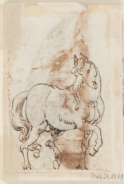 Pagina di un Libro di Disegni; Studio per un Dipinto di Santa Maddalena; Uno Stallone da Jan van der Straet, called Stradanus