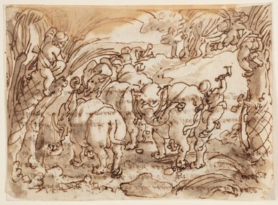 Recto: Elefanti cacciati dai trogloditi; Verso: iscrizione relativa alla Storia naturale di Plinio il Vecchio, Libro 8, cap.8 da Jan van der Straet, called Stradanus