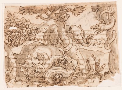 Recto: Lotta tra Elefanti e Serpenti, dalla Storia Naturale di Plinio (libro 8, cap. 11-12); Verso: iscrizione relativa al materiale di origine da Jan van der Straet, called Stradanus