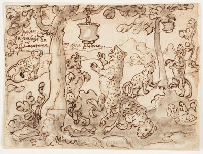 La Trappola per Pantere da Jan van der Straet, called Stradanus