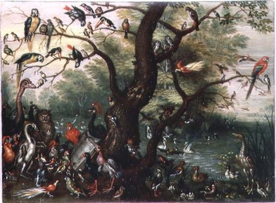 Concerto di uccelli da Jan van the Elder Kessel