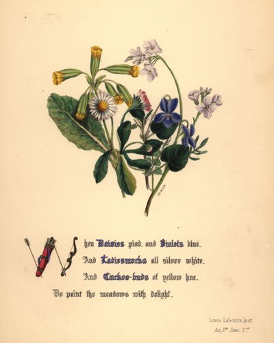 Margherite, violette, cardamine e ranuncoli da Jane Elizabeth Giraud