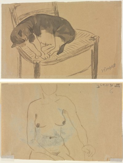 Gatto che dorme (recto) Torso di una donna nuda (verso) da Jane Poupelet
