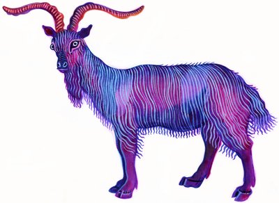 Capricorno da Jane Tattersfield