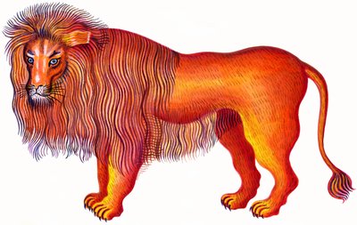 Leone da Jane Tattersfield