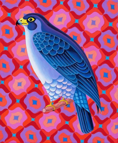 Falco pellegrino da Jane Tattersfield