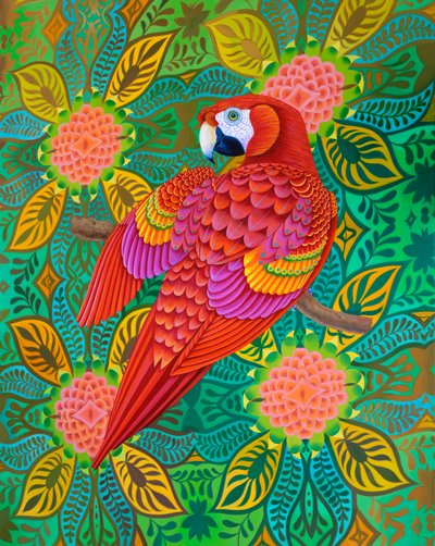 Pappagallo rosso da Jane Tattersfield