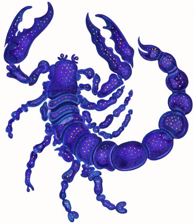Scorpione da Jane Tattersfield