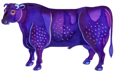Toro da Jane Tattersfield