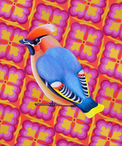 Cedar Waxwing, 2023 da Jane Tattersfield