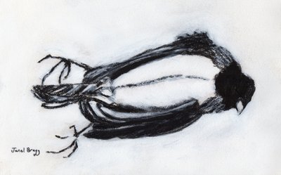 Uccello morto vicino alla mia scala, c.2018 da Janel Bragg