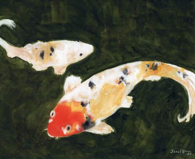 Pesci Koi al Conservatorio dei Fiori di San Francisco da Janel Bragg