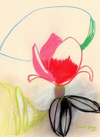 Magnolia a Colori da Janel Bragg