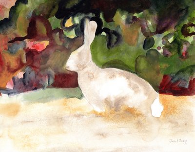 Coniglio che abbiamo visto durante la nostra passeggiata, c.2016 da Janel Bragg