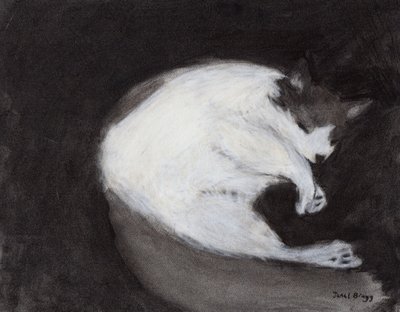 Thomas che fa un pisolino, c. 2018 (carboncino e pastello su carta) da Janel Bragg