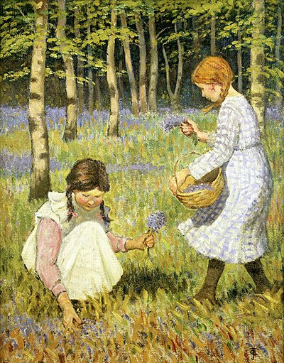 Raccolta di campanule da Janet Fisher