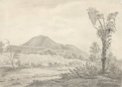 Paesaggio giavanese con montagna e palma da Jannes Theodorus Bik