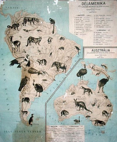 Mappa degli animali in Sud America e Australia da Janos Balint