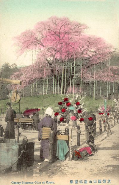 Fiori di ciliegio, Gion, Kyoto, Giappone da Japanese Photographer