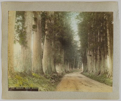 Strada Imaichi, Nikko, Giappone da Japanese Photographer