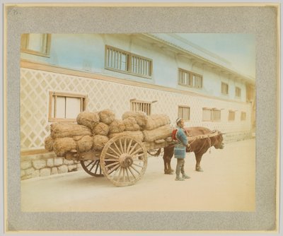 Uomo con bue e carro, Giappone da Japanese Photographer
