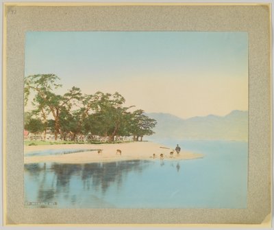 Miyajima, Giappone da Japanese Photographer