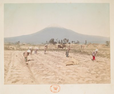 Monte Fuji e terreni agricoli, da 