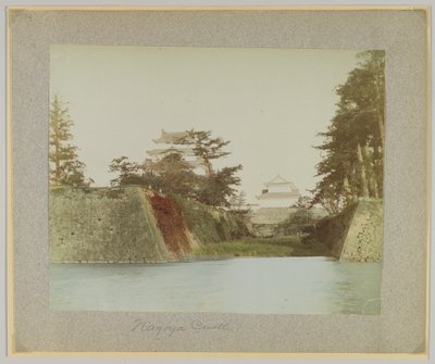 Castello di Nagoya, Giappone da Japanese Photographer