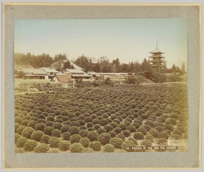 Pagoda di Toji e giardino del tè, Kyoto, Giappone da Japanese Photographer