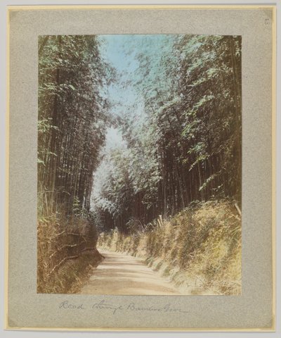 Strada attraverso un boschetto di bambù, Giappone da Japanese Photographer