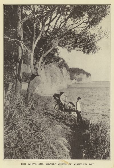 Le bianche e boscose scogliere della Baia del Mississippi da Japanese Photographer