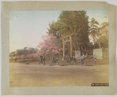 Parco Uyeno, Tokyo, Giappone da Japanese Photographer