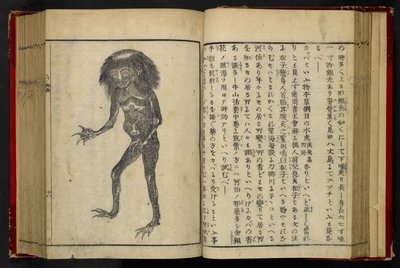16084.d.15, f.24 Un Neneko Kappa, da 