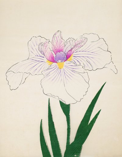Akashi-no.-Ul, n.10, 1898 da Japanese School