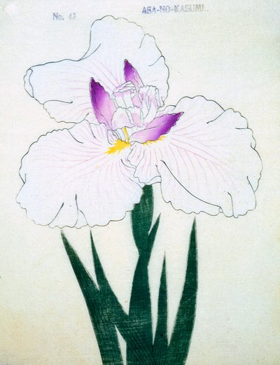 Asa-no-Kasumi, n.43, 1898 da Japanese School