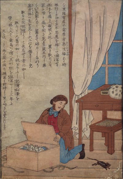 Audubon apre la sua scatola di acquerelli distrutti dai ratti norvegesi da Japanese School