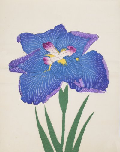 Azumabotan, No. 89, 1890 da Japanese School