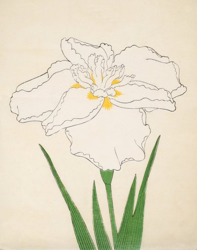 Bandai-No-Nami, No 1 da Japanese School