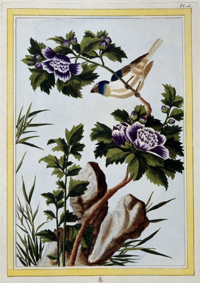 Uccello - stampa giapponese da Japanese School