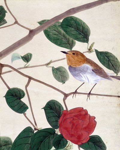 Uccello e fiori. Disegno giapponese di Riou Chim, fine XIX secolo da Japanese School