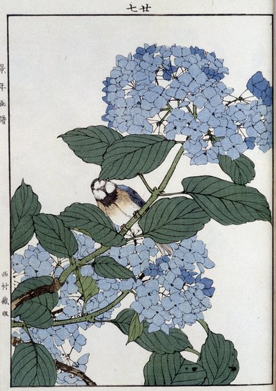 Uccello tra le ortensie - Stampa giapponese da Japanese School