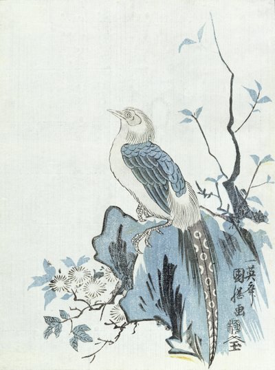 Uccello su una roccia da Japanese School