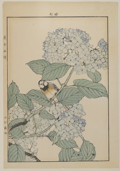 Uccello con ortensia, periodo Meiji, c.1868-1912 da Japanese School