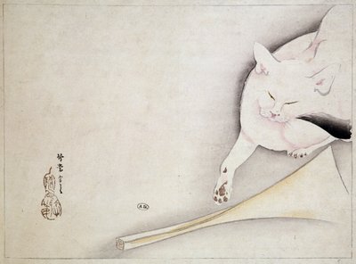 Gatto (disegno giapponese) da Japanese School