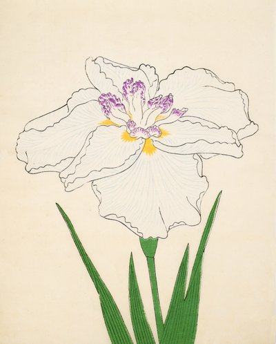 Cho-Hiyen, No. 91, 1890 da Japanese School